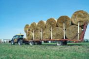 Sollevatori telescopici fissi - AGRI FARMER 30.9 GD