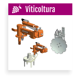 Viticoltura