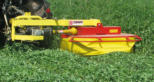 Rotofalchi