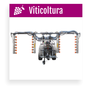Viticoltura